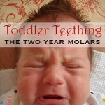 toddler teething wake ups
